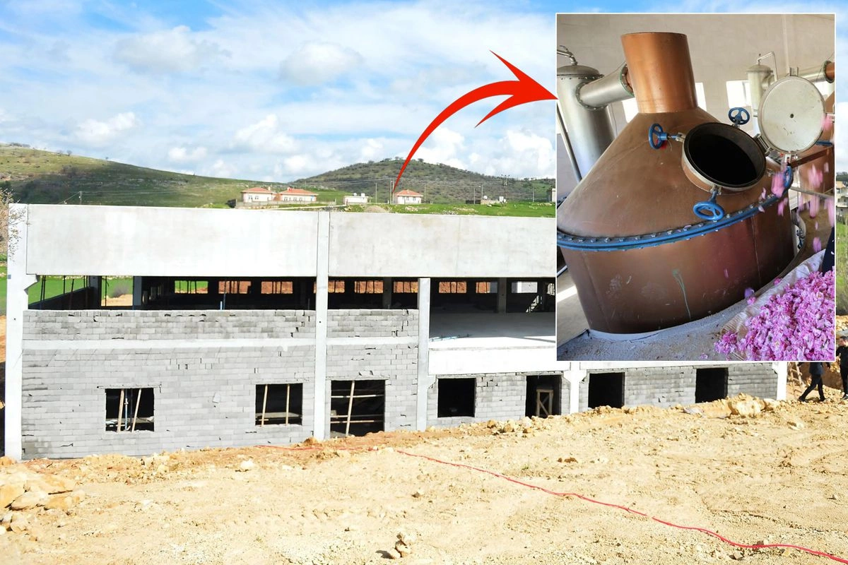 Известный певец продал все имущество ради строительства завода в родной деревне