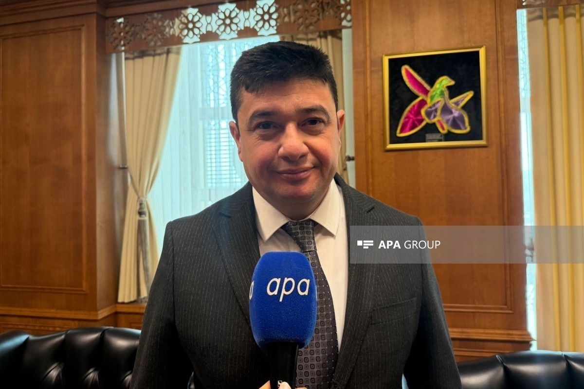 Карс и Агдам станут городами-побратимами