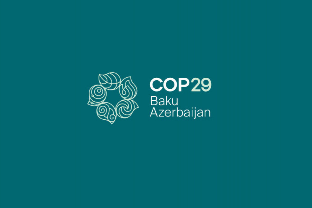Командировочные расходы членов Оргкомитета в рамках COP29 будут рассчитываться с надбавкой 50 процентов