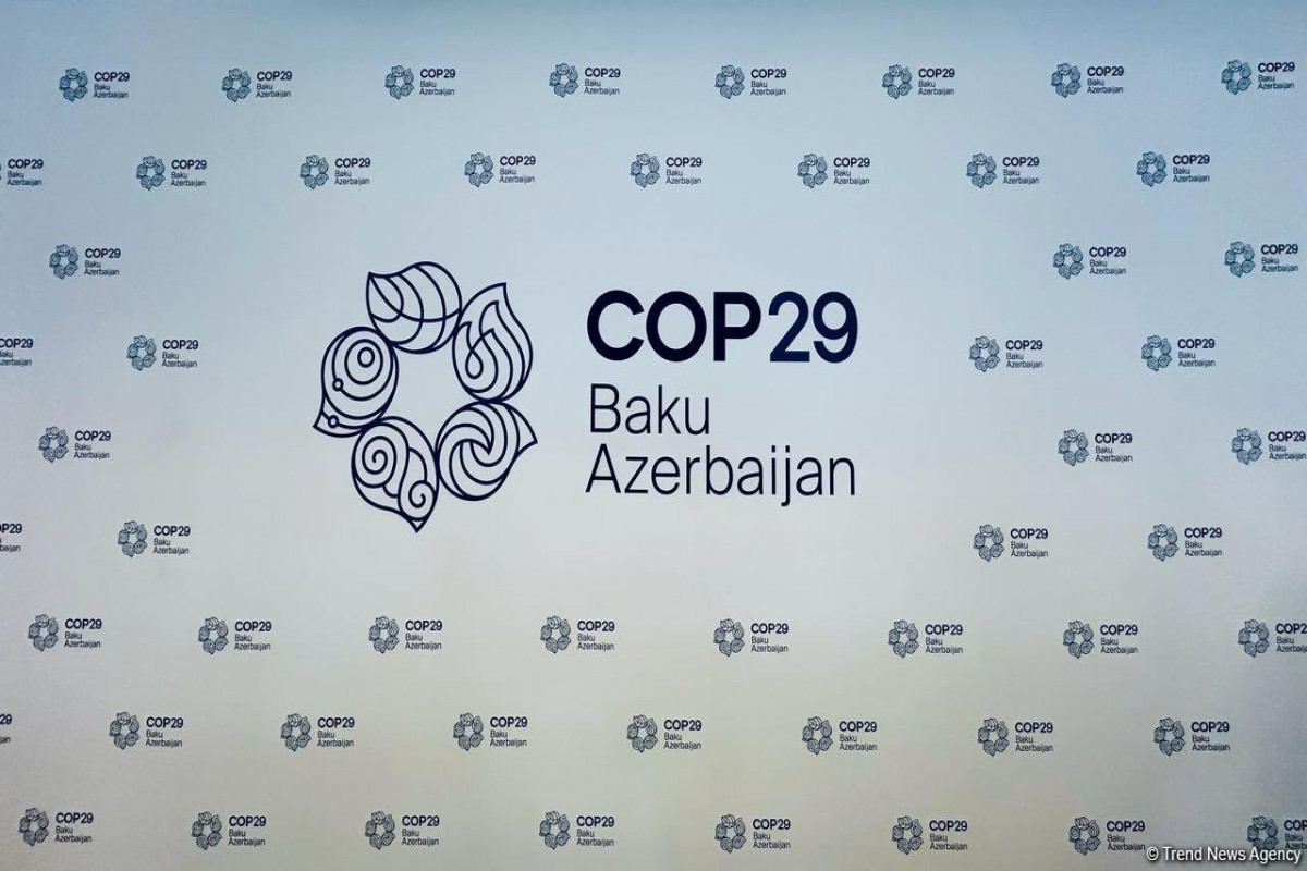 Контроль финансового оборота COP29 осуществляется совместно с высшим аудиторским органом