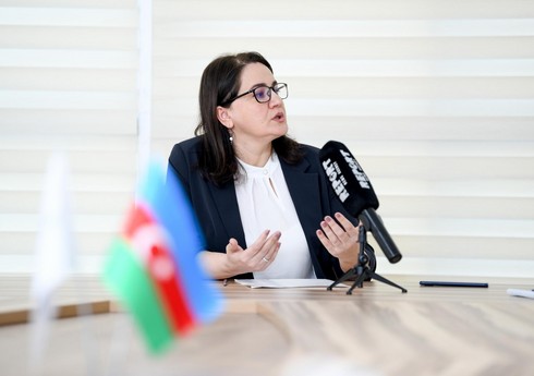 Кямаля Мамедзаде: В Азербайджане готовится новая программа развития стандартизации до 2029 года
