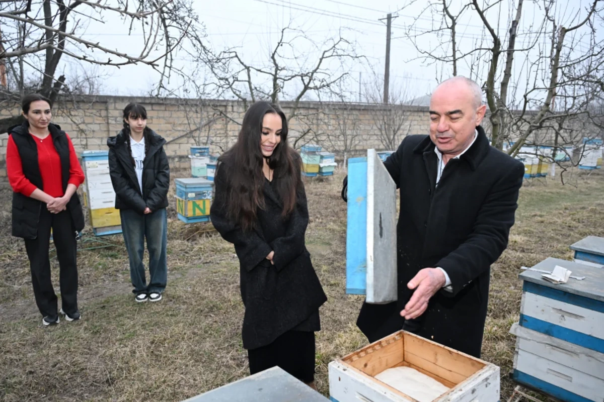 Лейла Алиева побывала в гостях у семьи пчеловода в Губе