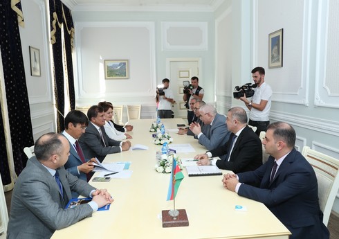 Мазахир Панахов встретился с делегацией наблюдателей от ОТГ