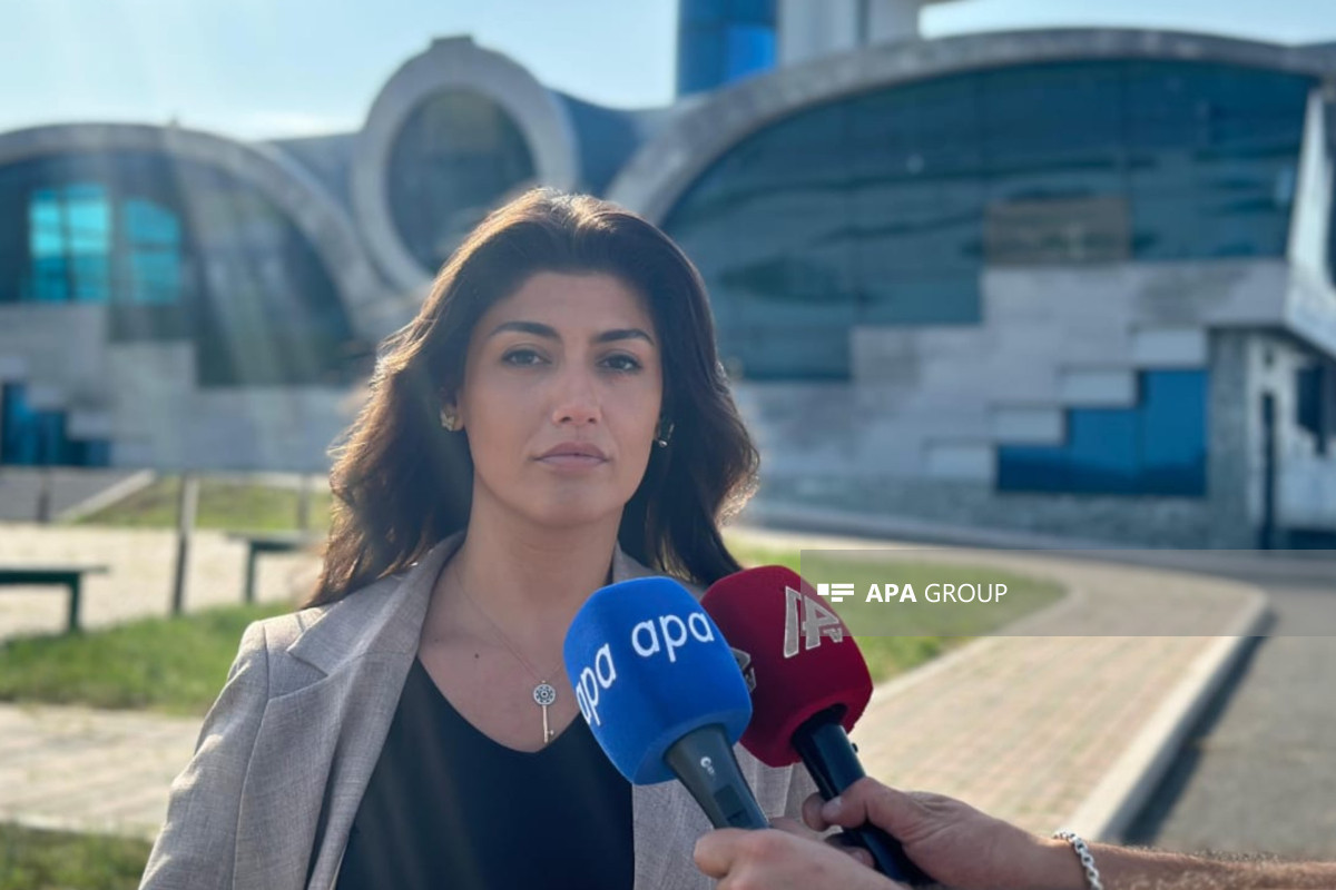 Международный аэропорт имени Гейдара Алиева: Неизвестно, когда будут доставлены тела погибших и пострадавшие в авиакатастрофе