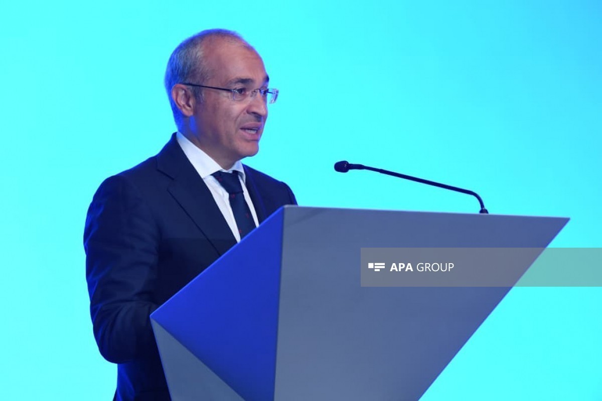 Микаил Джаббаров: Азербайджан нацелен на создание добавленной стоимости путем укрепления межрегиональных связей
