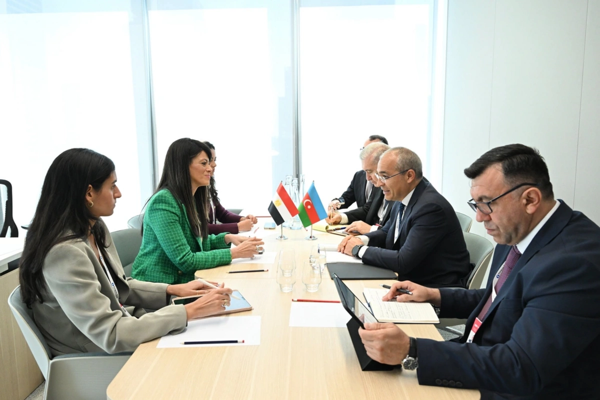 Микаил Джаббаров обсудил с Ранией аль-Машат сотрудничество между Азербайджаном и Египтом