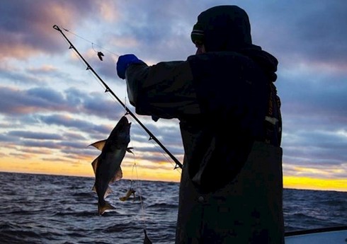 Министерство обратилось к населению в связи с истечением моратория на промышленный вылов рыбы