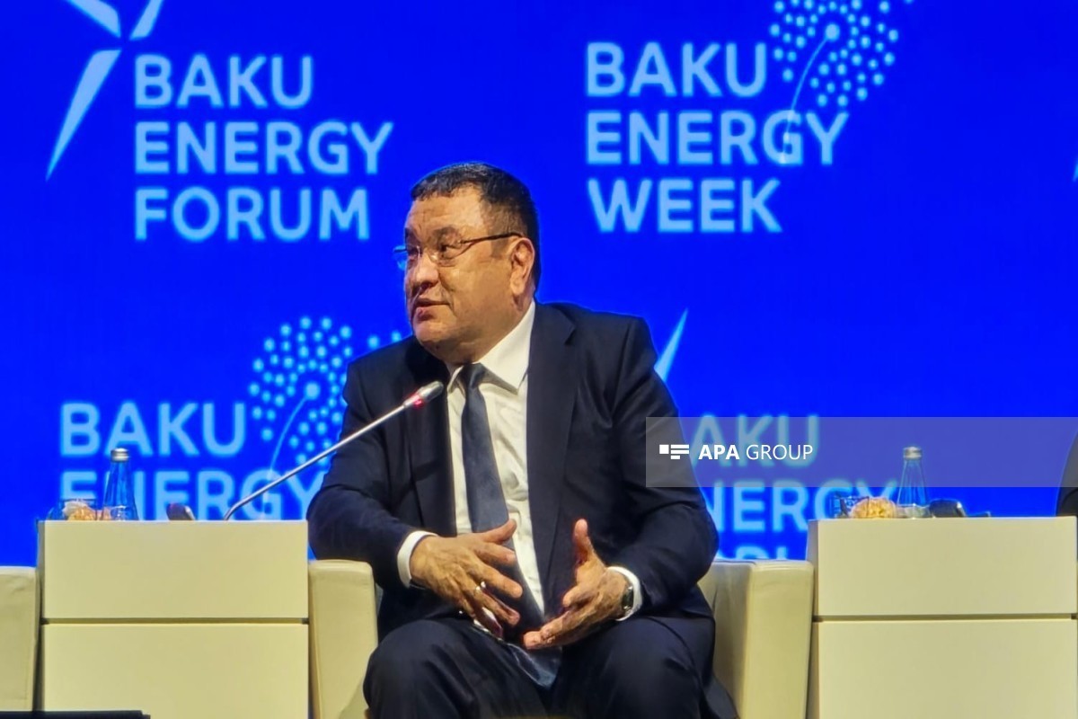 Министр: SOCAR расширяет инвестиции в Узбекистане