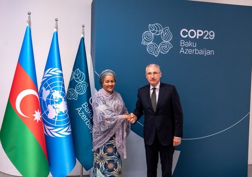 Мухтар Бабаев встретился с Аминой Мохаммед