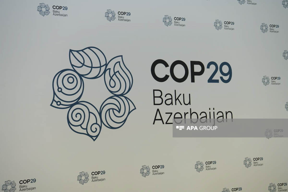 Мухтар Бабаев встретится с членами Коалиции НПО COP29