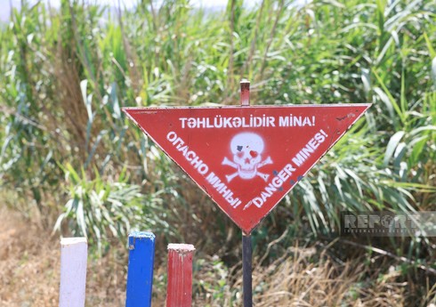 На прошлой неделе от мин очищена территория площадью 1300 га