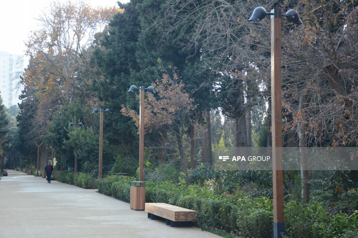 На территории Ботанического сада в Баку снесены незаконные постройки, площадь расширена, построено новое административное здание -ФОТО