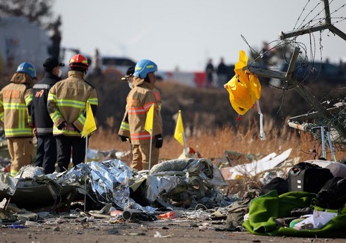 На установление причин авиакатастрофы в Южной Корее может уйти до трех лет