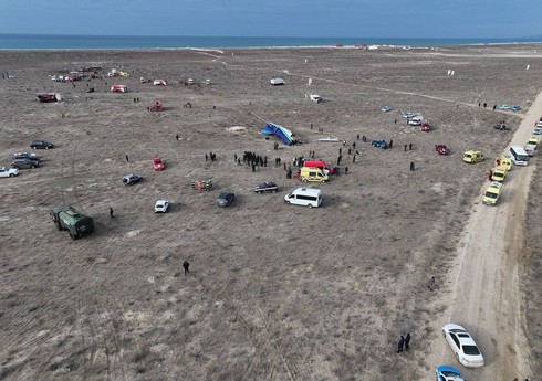 Начата работа над подготовкой итогового отчета о крушении азербайджанского самолета