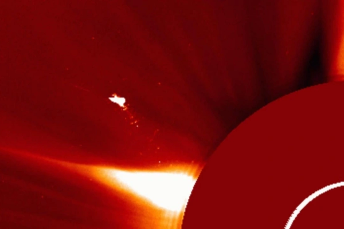 Над Солнцем обнаружили загадочную "птицу" больше Земли