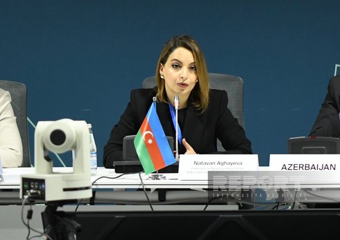 Натаван Агаева: Бакинский порт намерен достичь нулевой эмиссии к 2035 году