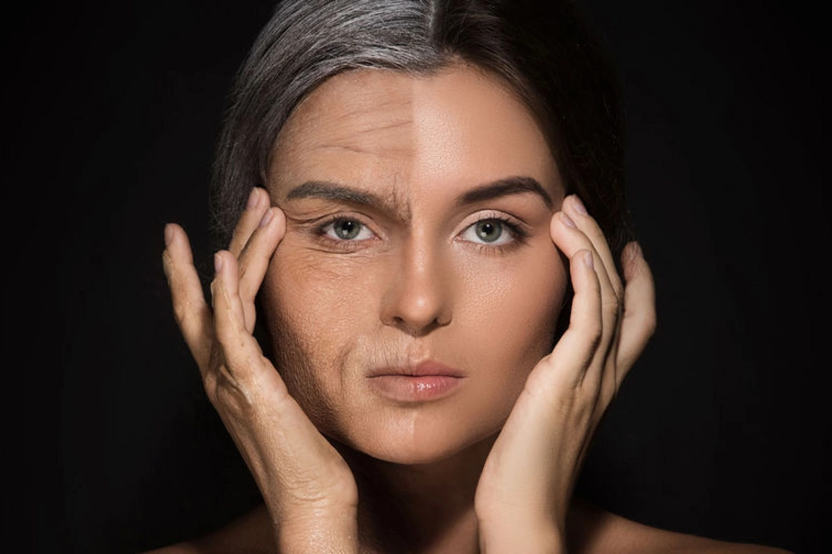 Найден главный возможный фактор биологического старения