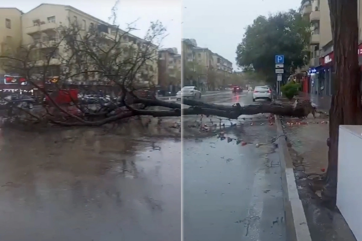 Непогода в Баку привела к еще одному удручающему последствию