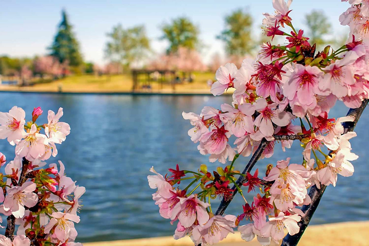 Обнародован прогноз погоды на апрель