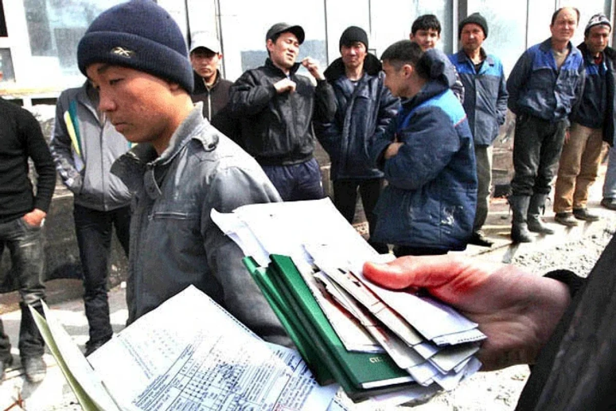 Обнародовано число иностранцев, получивших разрешение на работу в Азербайджане