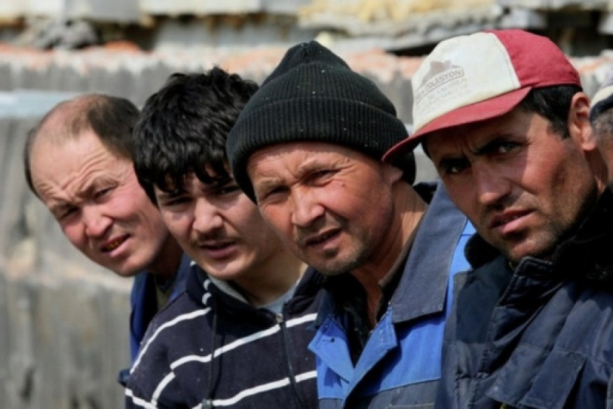 Обнародовано количество нелегальных мигрантов в России