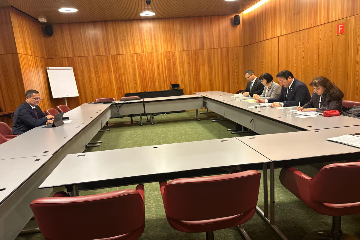 Обсужден проект итогового документа парламентского заседания в рамках COP29