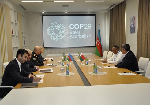 Обсуждено установление связей между Азербайджаном и Мадагаскаром в сфере борьбы с чрезвычайными ситуациями