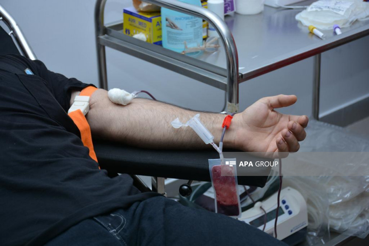 Объявлены адреса проведения акций по сдаче крови в день Ашура-СПИСОК