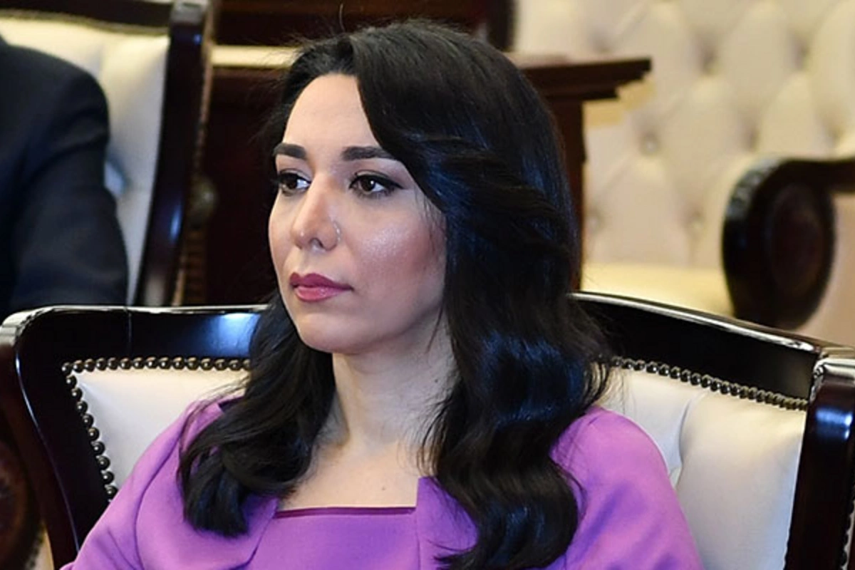 Омбудсмен: Обвинения армянского правозащитника безосновательными и предвзятыми