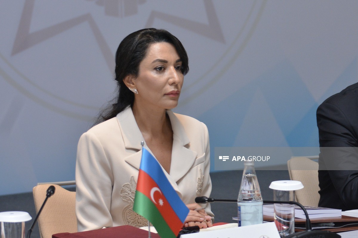 Омбудсмен просит предоставить право законодательной инициативы