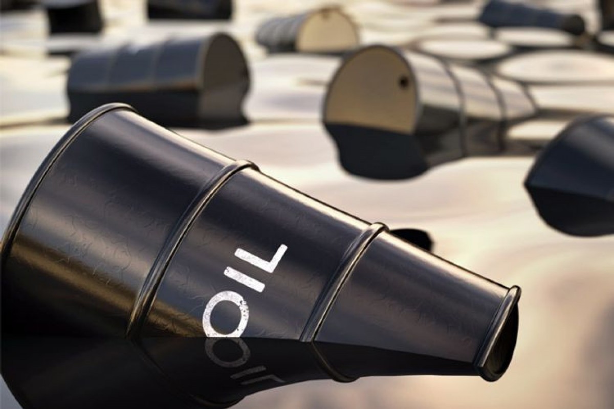 ОПЕК: Мировой спрос на нефть будет расти быстрее — ПРОГНОЗ