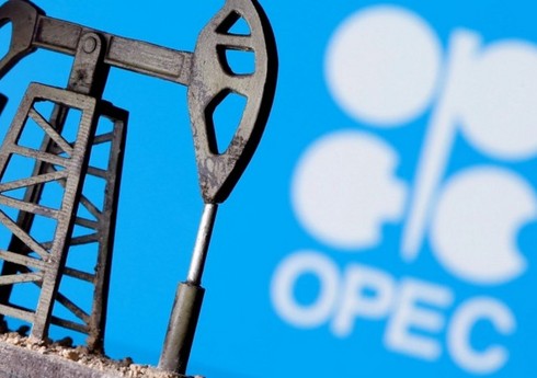 ОПЕК+ в мае добывали на 52 тыс. б/с нефти ниже плана