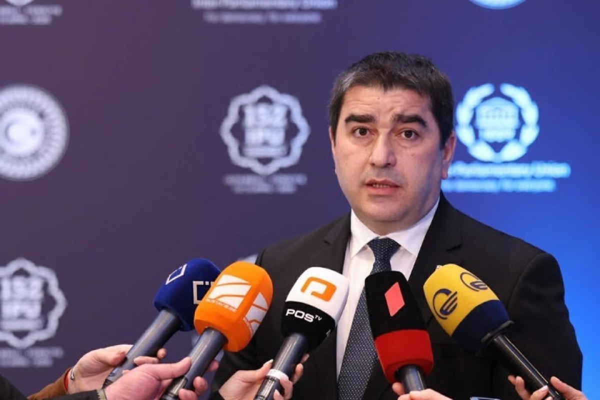 Папуашвили обвинил ЕС в планировании беспорядков в Грузии