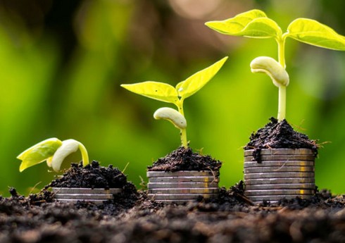 Парламент Азербайджана утвердил усиление мер контроля за сельхозсубсидиями