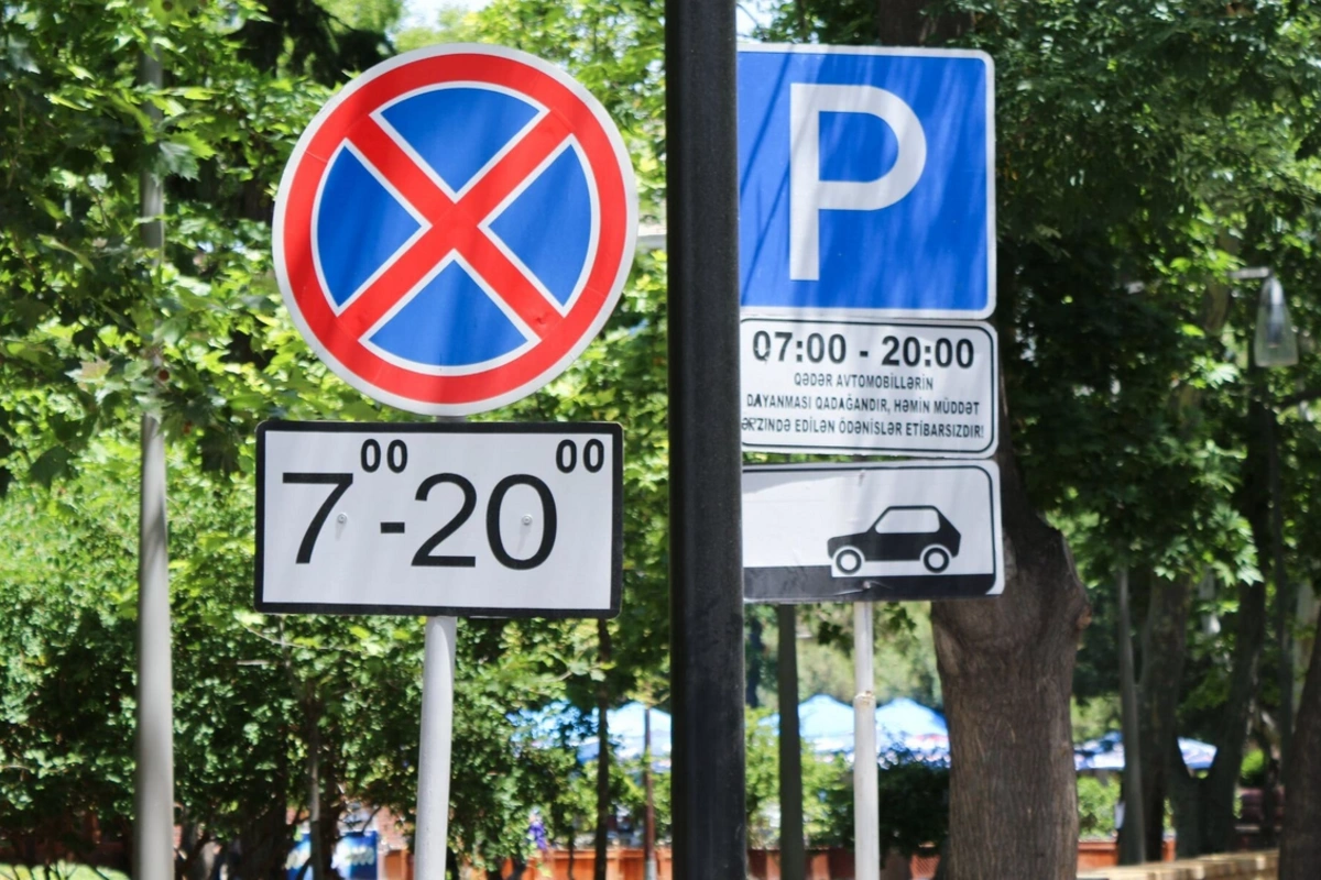 Почему деревья перекрывают дорожные знаки и кто за это отвечает?