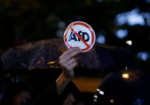 Почти половина опрошенных немцев выступает за запрет партии АдГ