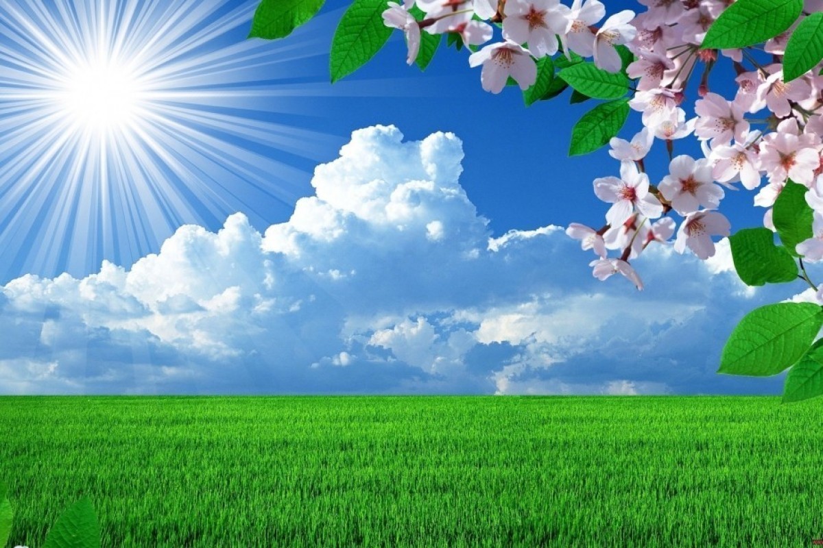 Подготовлен законопроект «О климате»