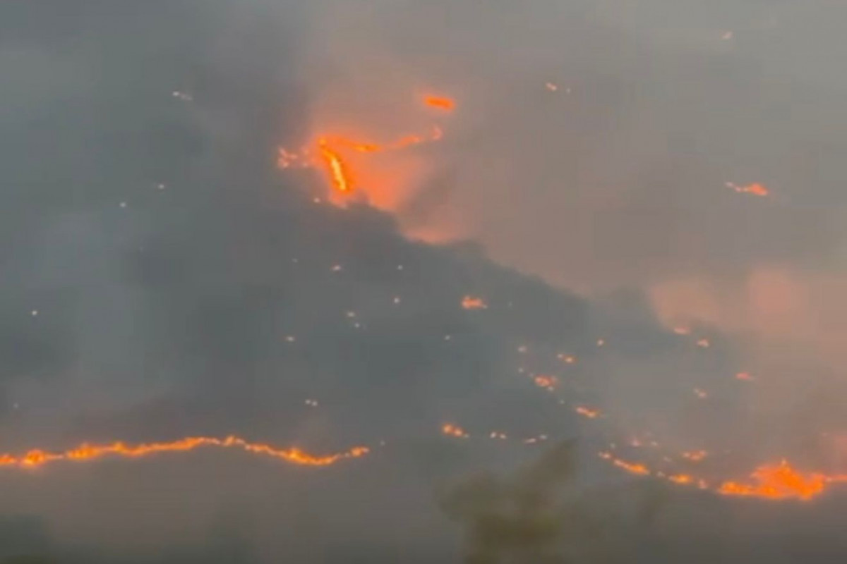 Полиция установлила виновника пожара в Зангилане