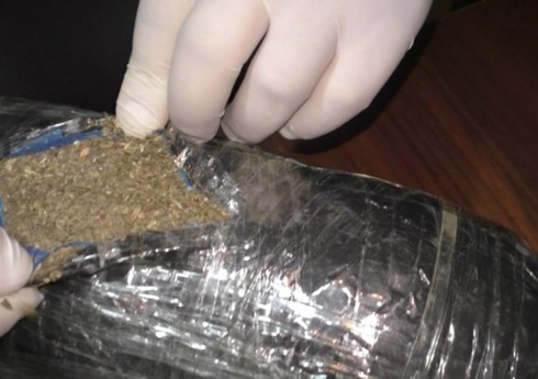 Полиция в Британии обнаружила фабрику по производству каннабиса рядом с участком