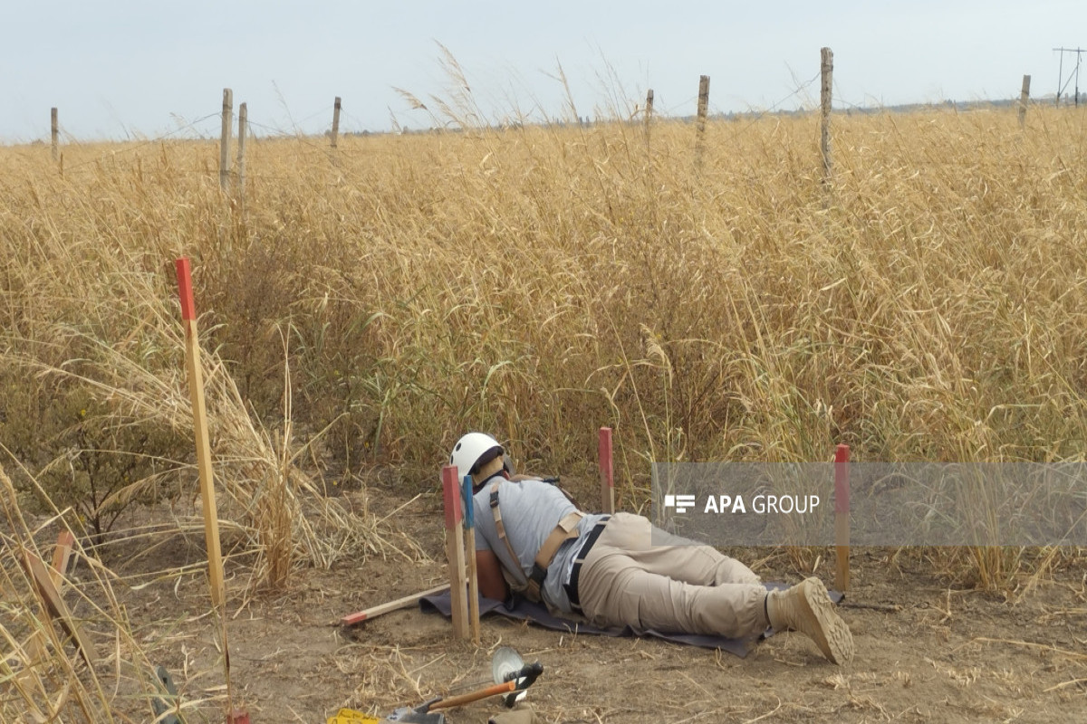 После окончания Отечественной войны в Карабахе и Восточном Зангезуре от мин очищено 160 тыс. га территории -ФОТО