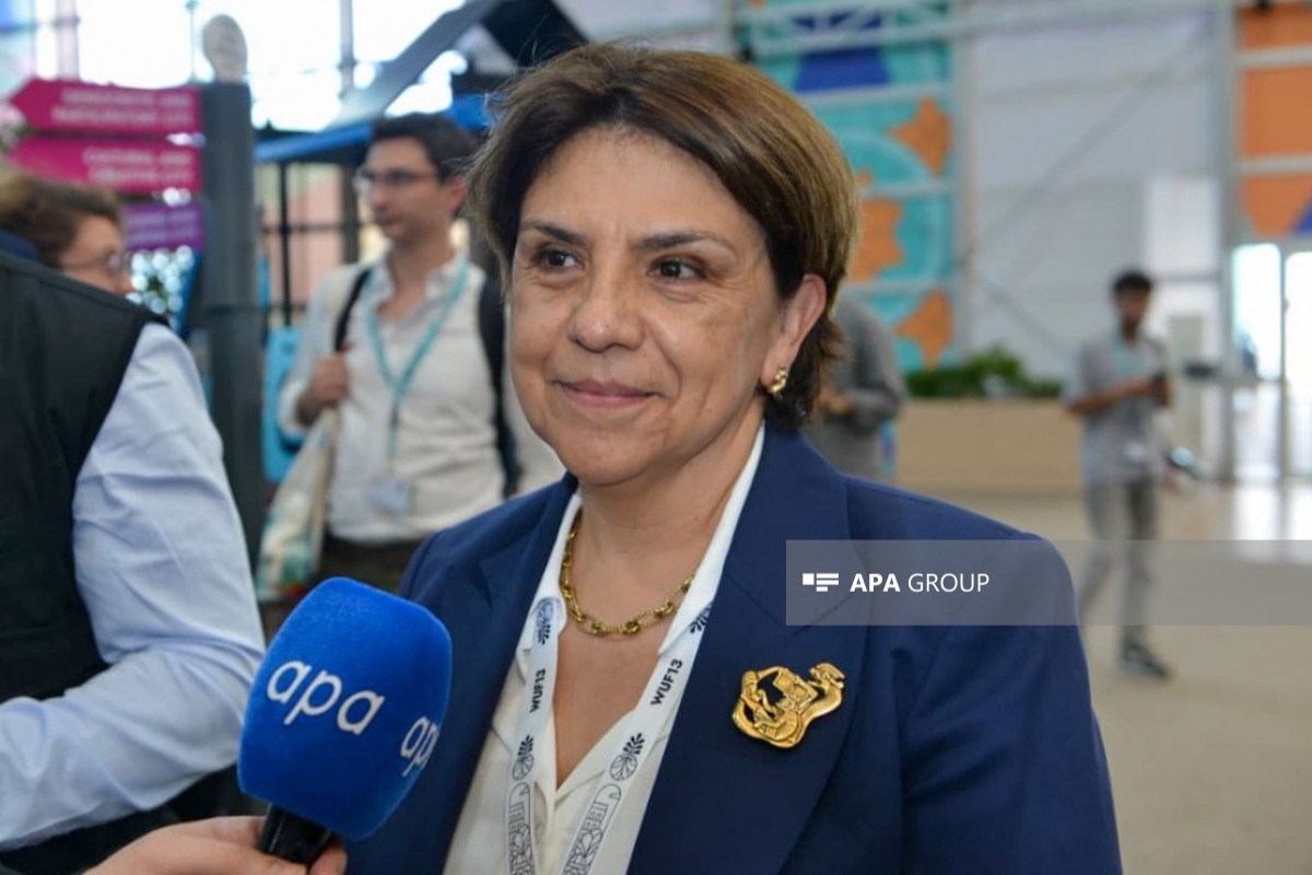 Посол Мексики: Азербайджан всегда очень успешно организовывал крупные мероприятия, WUF13 не стал исключением