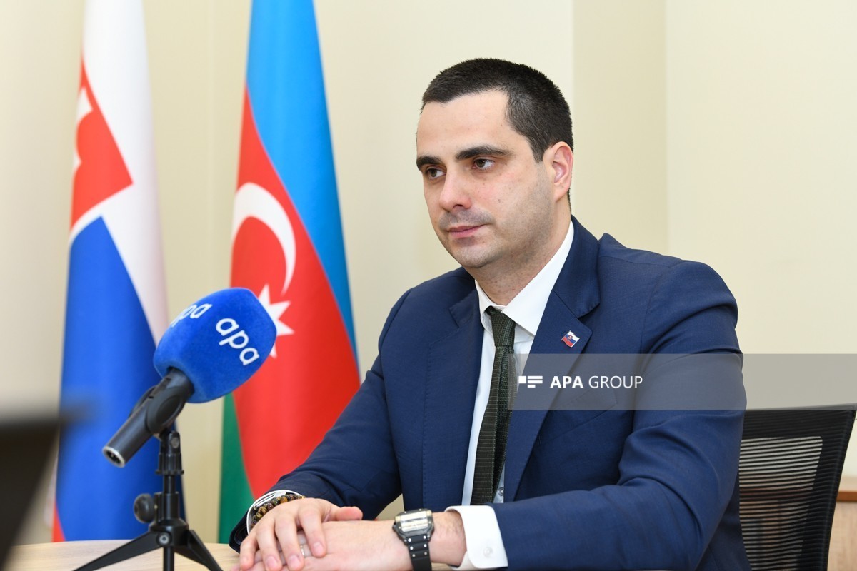 Посол Словакии: Братислава рассматривает сотрудничество с Азербайджаном в оборонной промышленности как стратегическое направление - ИНТЕРВЬЮ