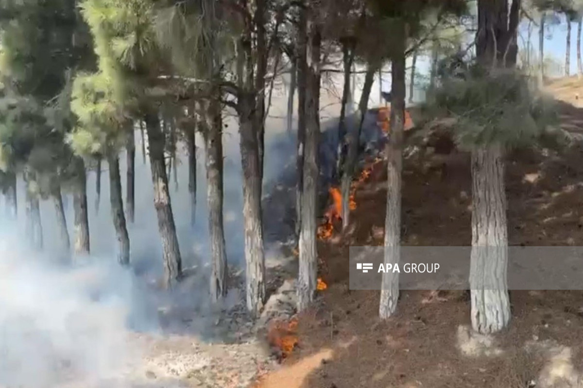 Пожар на автомагистрали Баку-Сумгайыт потушен -ВИДЕО-ОБНОВЛЕНО-1