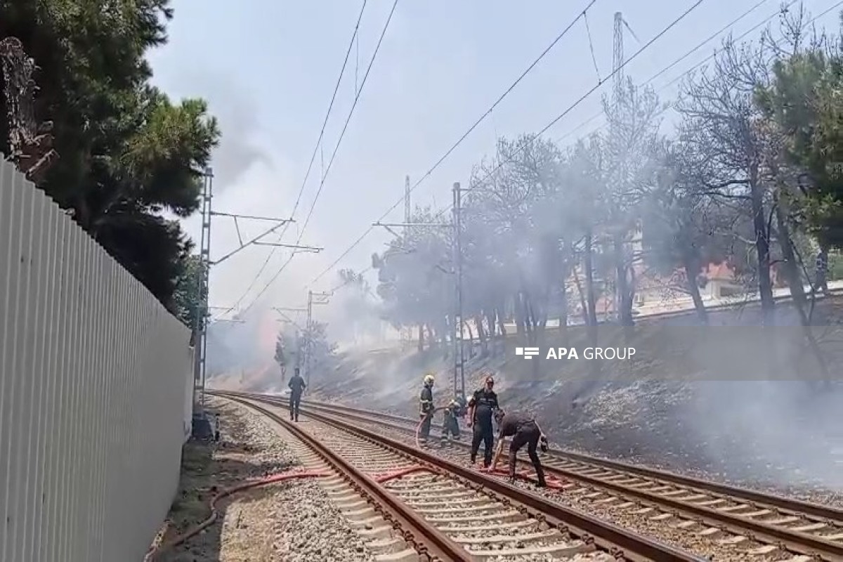 Пожар на открытой территории на проспекте Бабека в Баку потушен-ФОТО-ОБНОВЛЕНО