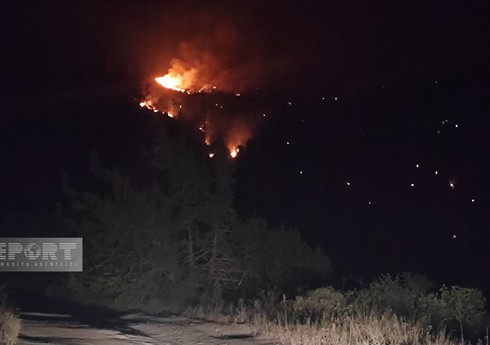 Пожар в горной местности Лачына полностью потушен