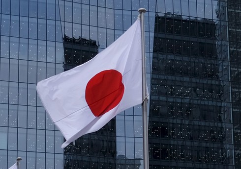 Правительство Японии в полном составе ушло в отставку