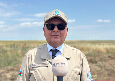 Председатель ANAMA: Завершается разминирование участка в агдамском селе Сарыджалы