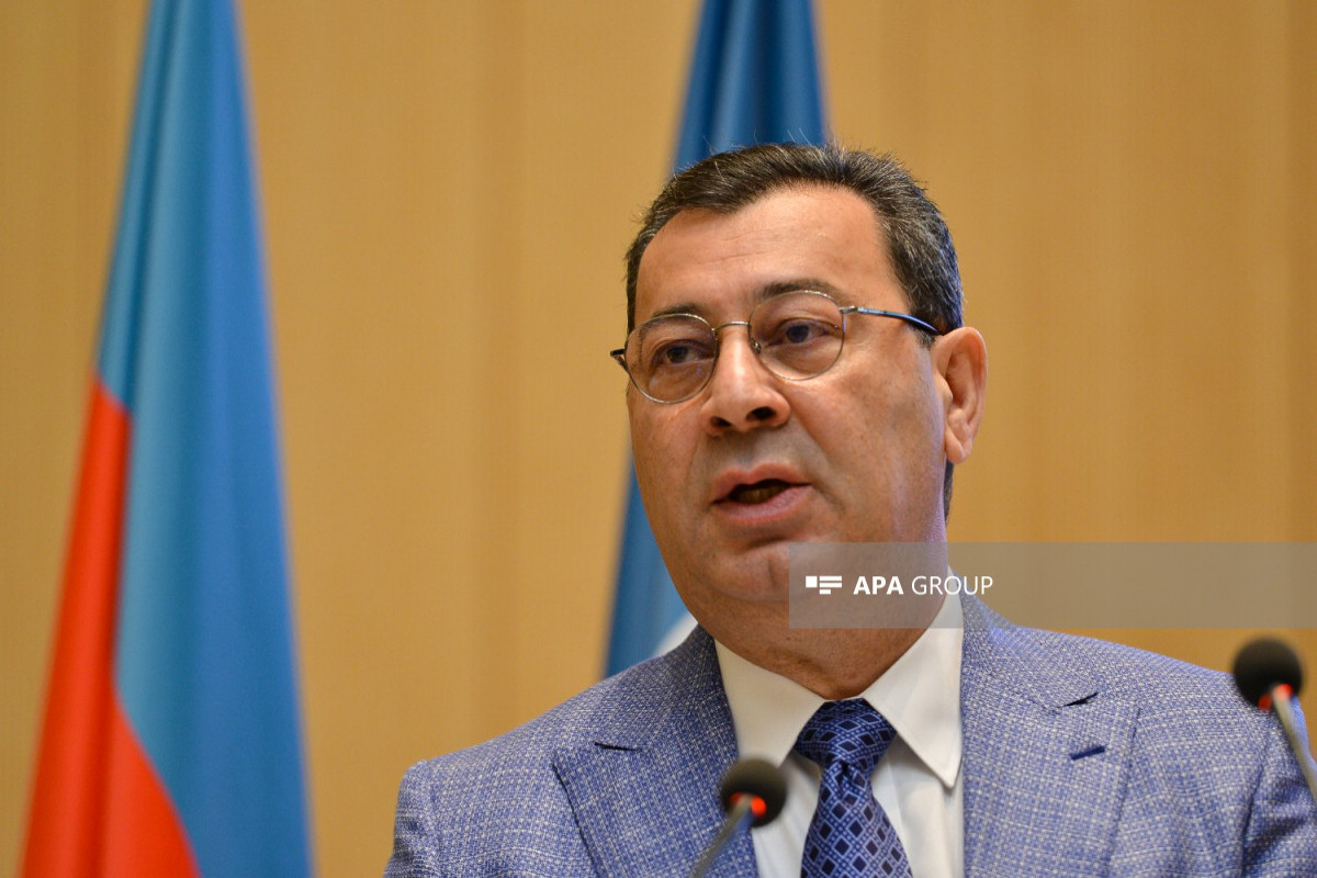 Председатель парламентского комитета: Азербайджан может организовать безвизовые поездки в более чем 80 стран