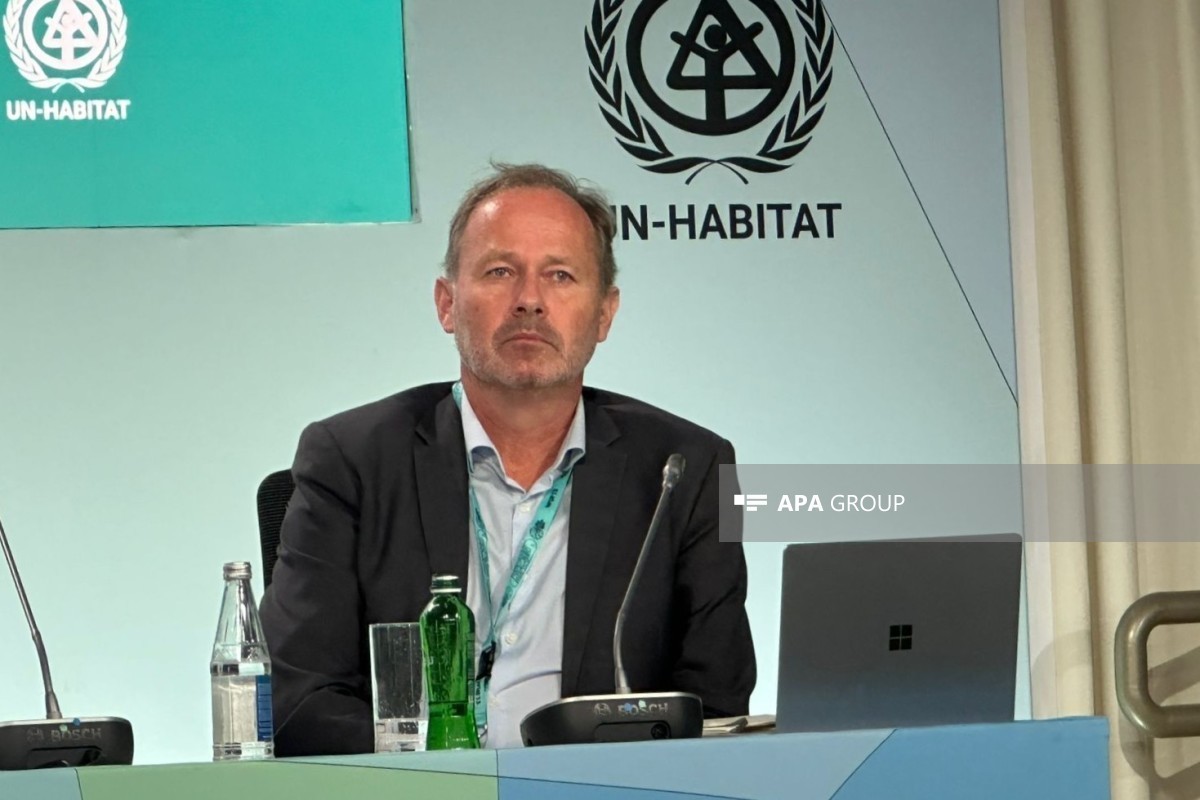 Представитель Африканского банка развития: Экологические и социальные аспекты становятся все более важными для инвесторов