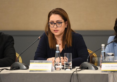 Представитель агентства: Причины буллинга связаны не только со школой